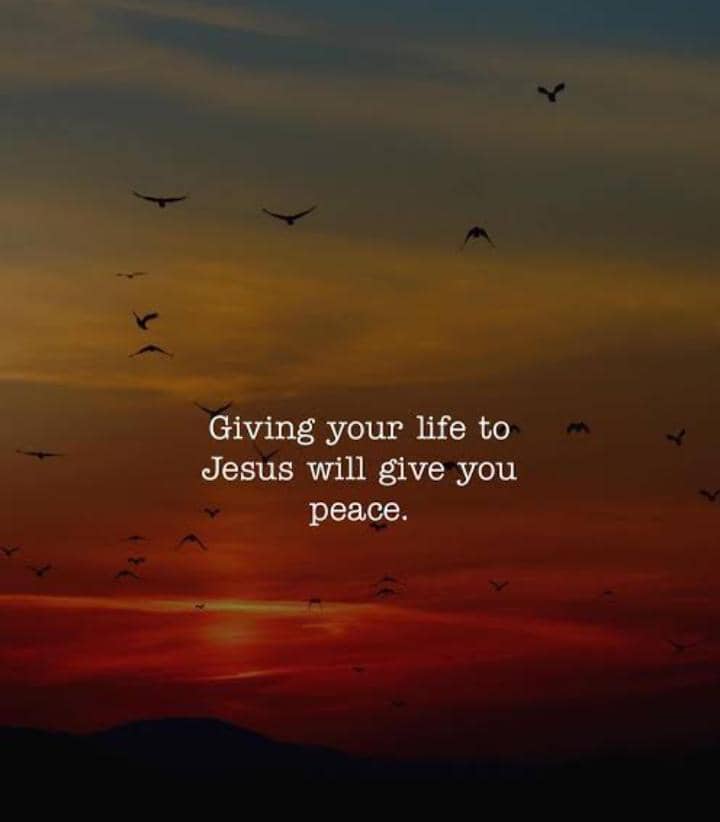 BTJStarlight's tweet photo. Please, give your life to Jesus.🤲 He owns you. https://t.co/ehy3Paf9Yv
