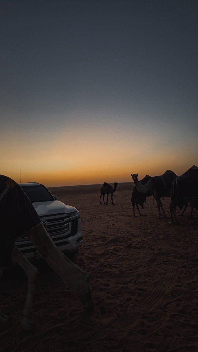 5vpj1's tweet photo. #ابل #تصوير 🐪🏜️ https://t.co/cg7Deimr7H