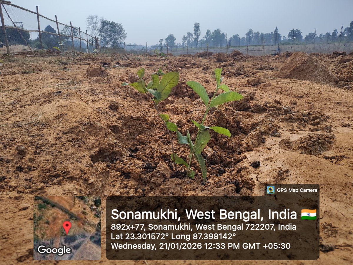 WBCADC KVK SONAMUKHI BANKURA tweet media