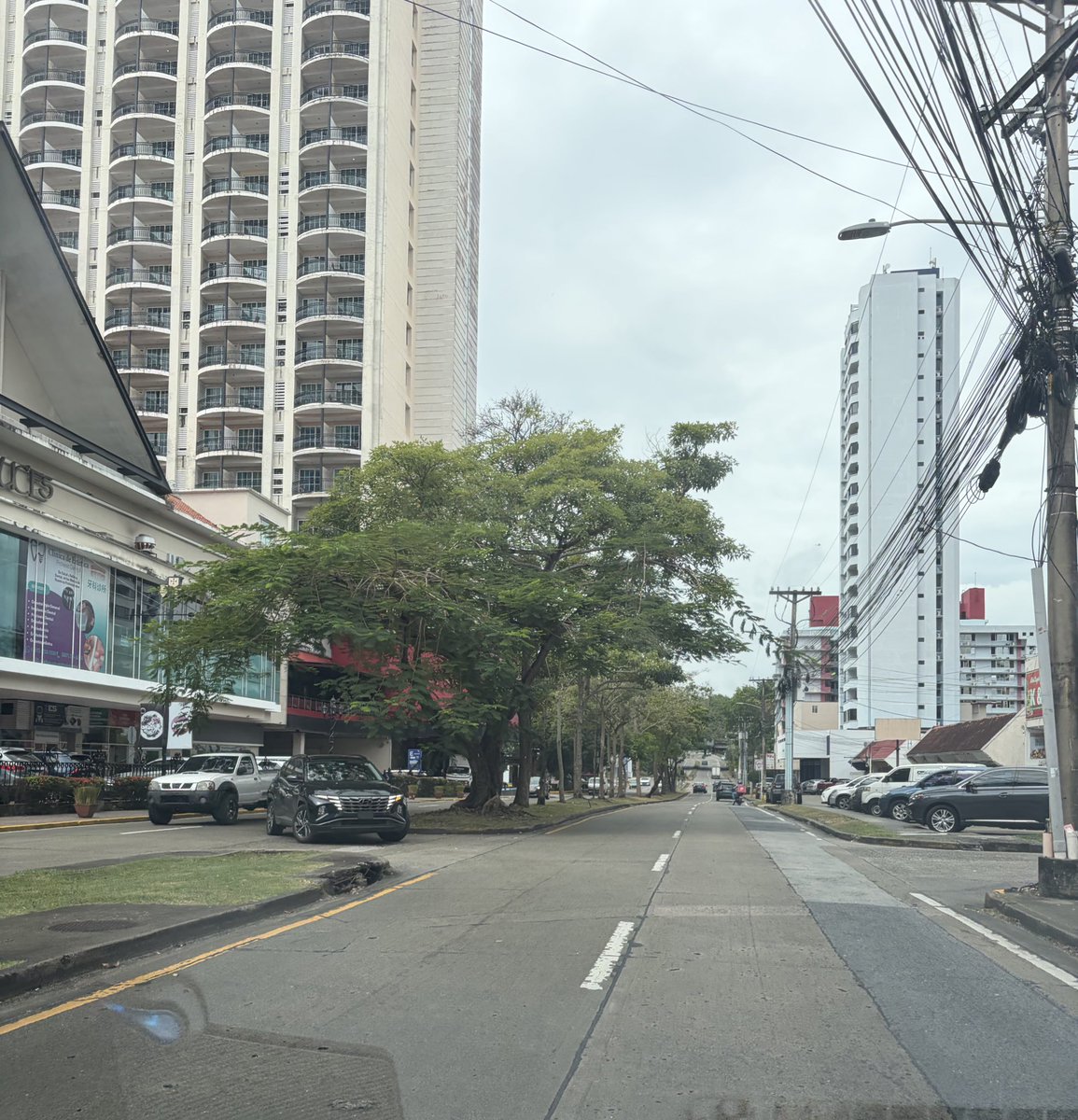 Raisa Banfield #PanamáSoberana🇵🇦 tweet media