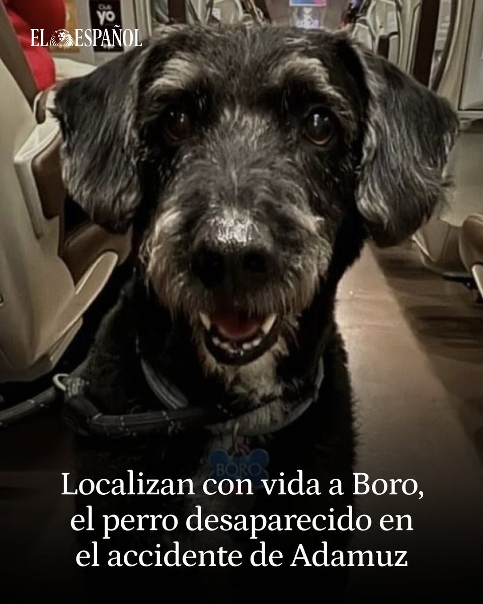 A ver, esto ha sido un desastre. Una pena enorme de decenas de muertos. Pero saber que una de las víctimas, en estado de buena esperanza, ingresada, y con el drama que ha supuesto, podrá tener a su lado a quien nunca le falló ni le fallará, es la mejor noticia posible.

#Boro