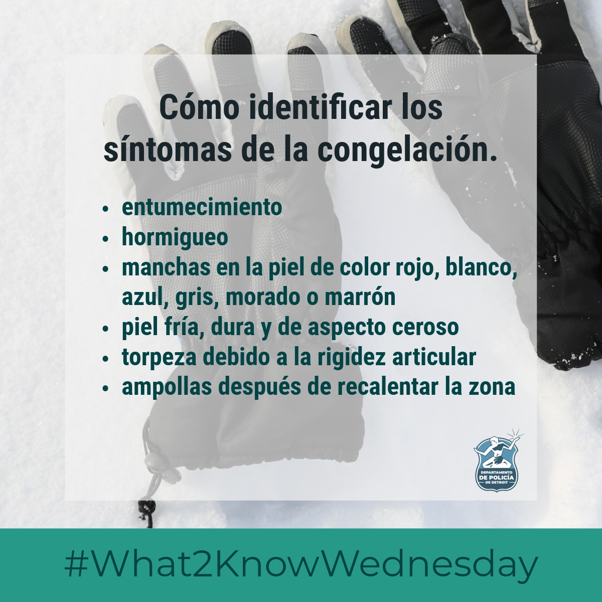 Policia de Detroit (@policia_detroit) on Twitter photo 