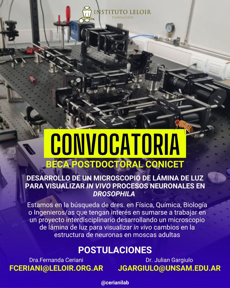 Julian Gargiulo tweet media