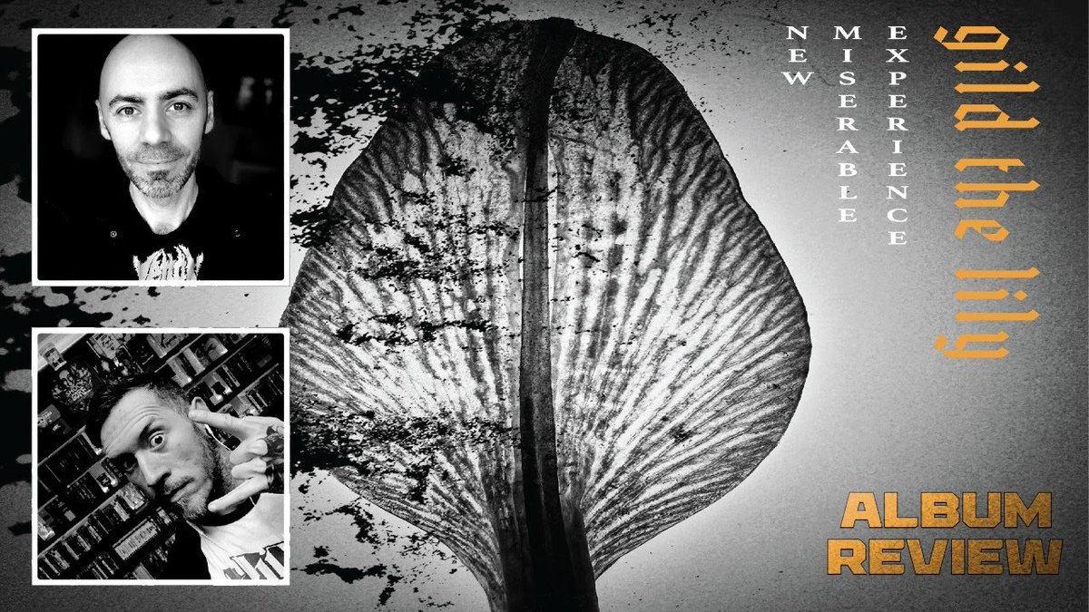 Metal Epidemic tweet media