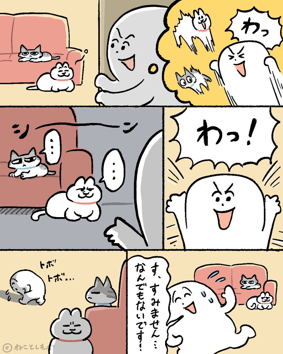 ねことしもべ@にゃん展 (@nekotoshimobe) / Posts / X