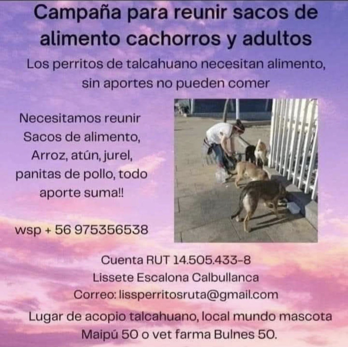 necesito de su ayuda compartiendo por favor, esta persona que rescata perritos tiene muy poco apoyo ‼️‼️ casi nadie la sigue en redes sociales, dejaré su instagram en el comentario de abajo