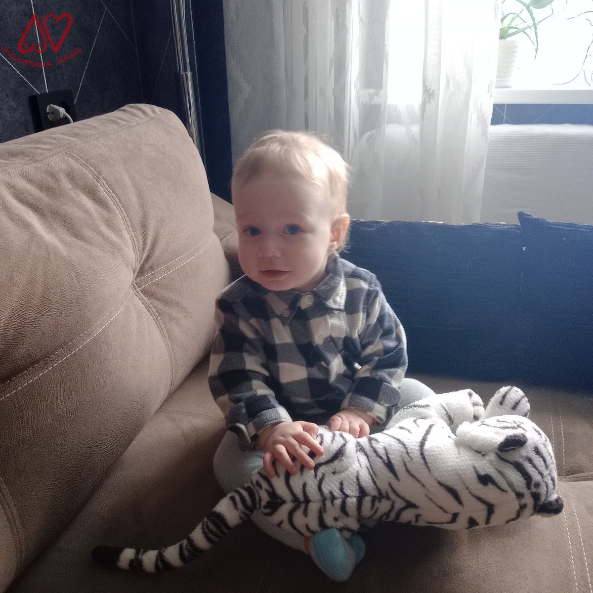 Всем привет! Меня зовут Мефодий. Для мамочки — я Мефочка. А бабушка прозвала меня импортным.
Чего импортный-то? А потому что я, пока сидел на облачке, не научился кушать маму. Моя мама очень огорчилась из-за этого обстоятельства. Она очень хотела, что бы t2p.pw/Q7XSZnnJYW