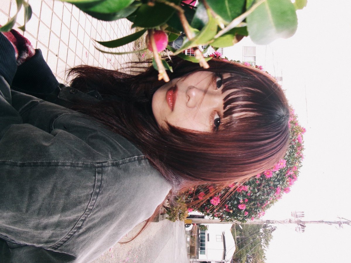 葵弥 tweet media