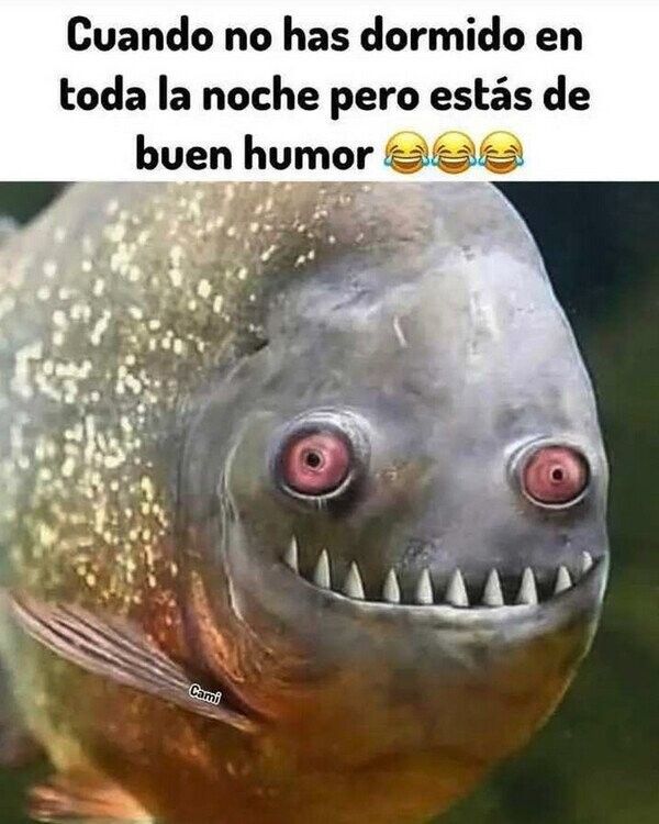 ....Fotogénica yo 😂😂😂😵‍💫😵‍💫
