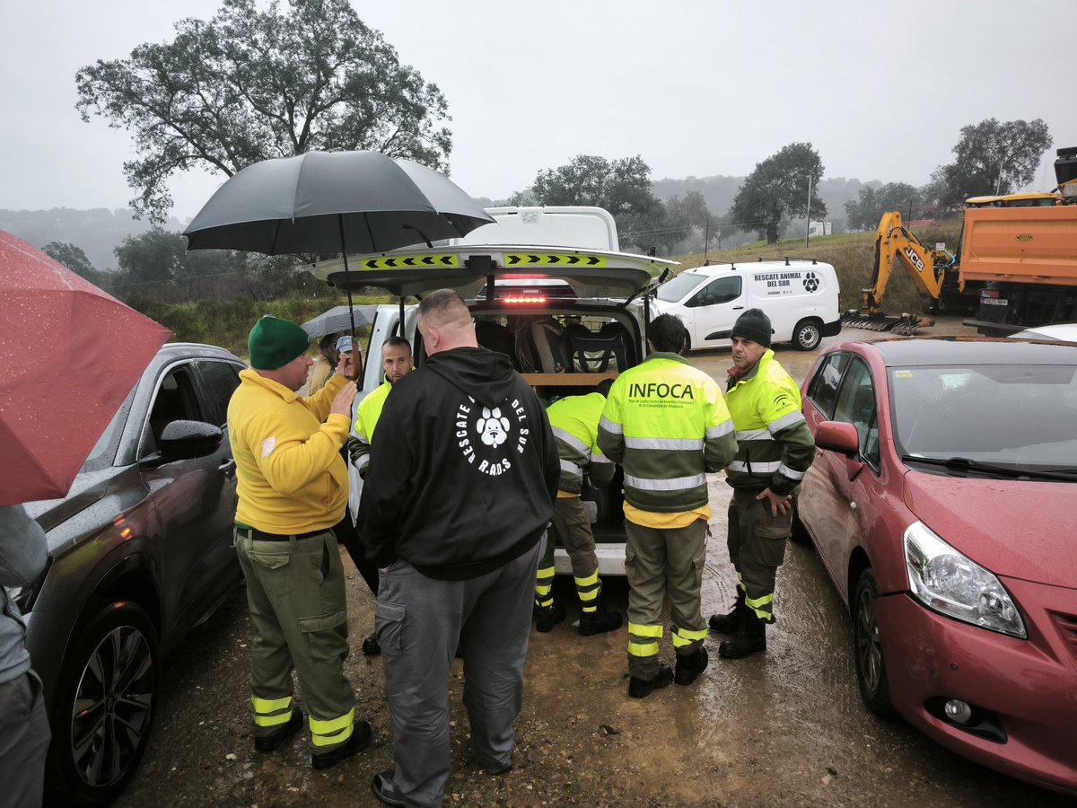 tonicruzgon's tweet photo. Ha aparecido con vida el perrito Boro , que se perdió en el accidente de Adamuz. Huyó en primera instancia cuando lo localizaron miembros del Infoca y ahora, ya con sus familiares en la zona, se confía en que el rescate tenga un final feliz entre el barrizal. Esperando estamos 🤞 https://t.co/HpjGt9AToW