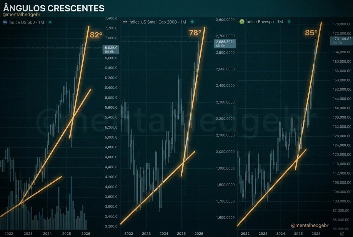 Mental Hedge | Neurociência do investimento 🇧🇷 tweet media
