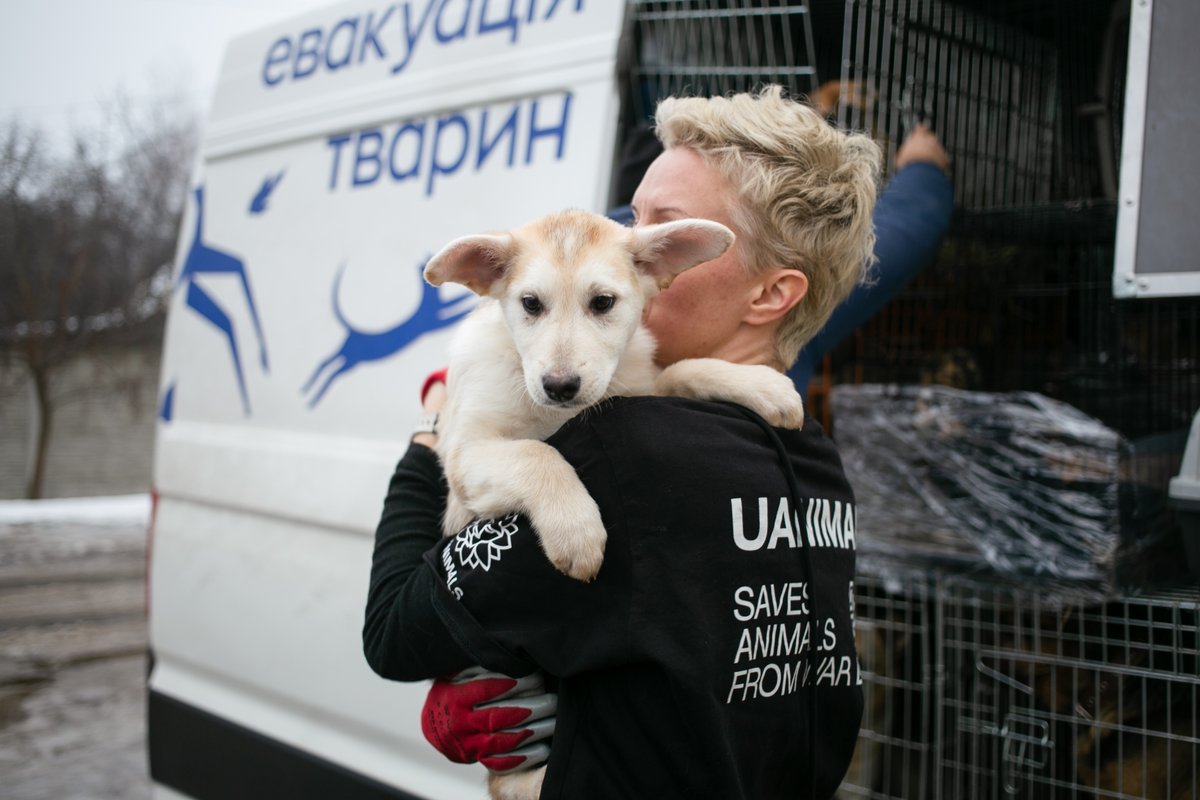 UAnimals evacuated 63 animals from the Donetsk region 🐶

Friends, take a look at these photos — every one of these animals deserves safety and care, not the horror and pain of war 💔

Each evacuation mission is dangerous and challenging, so we would be very grateful for your