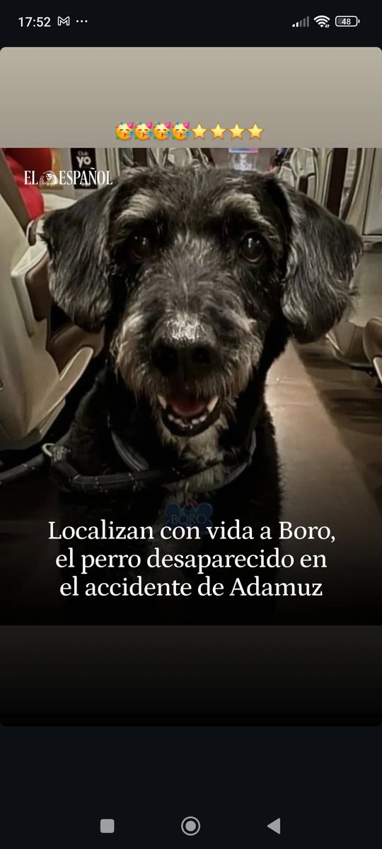 BIEN BIEN BIEN, que alegría ❤️