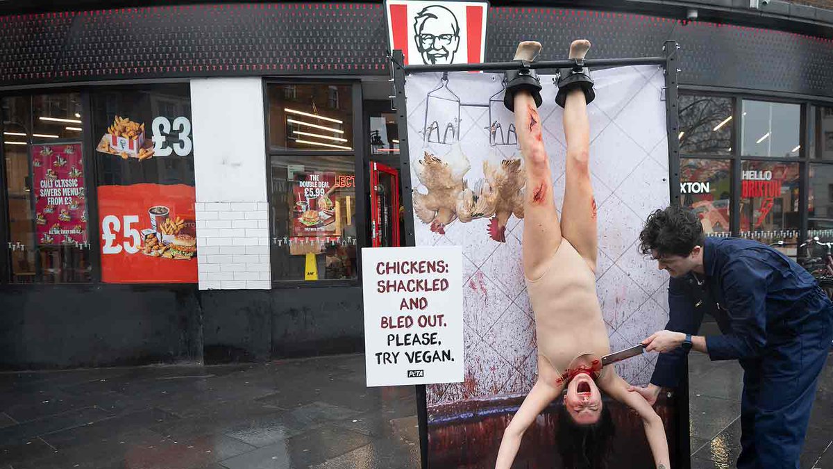 Brixton Blog tweet media