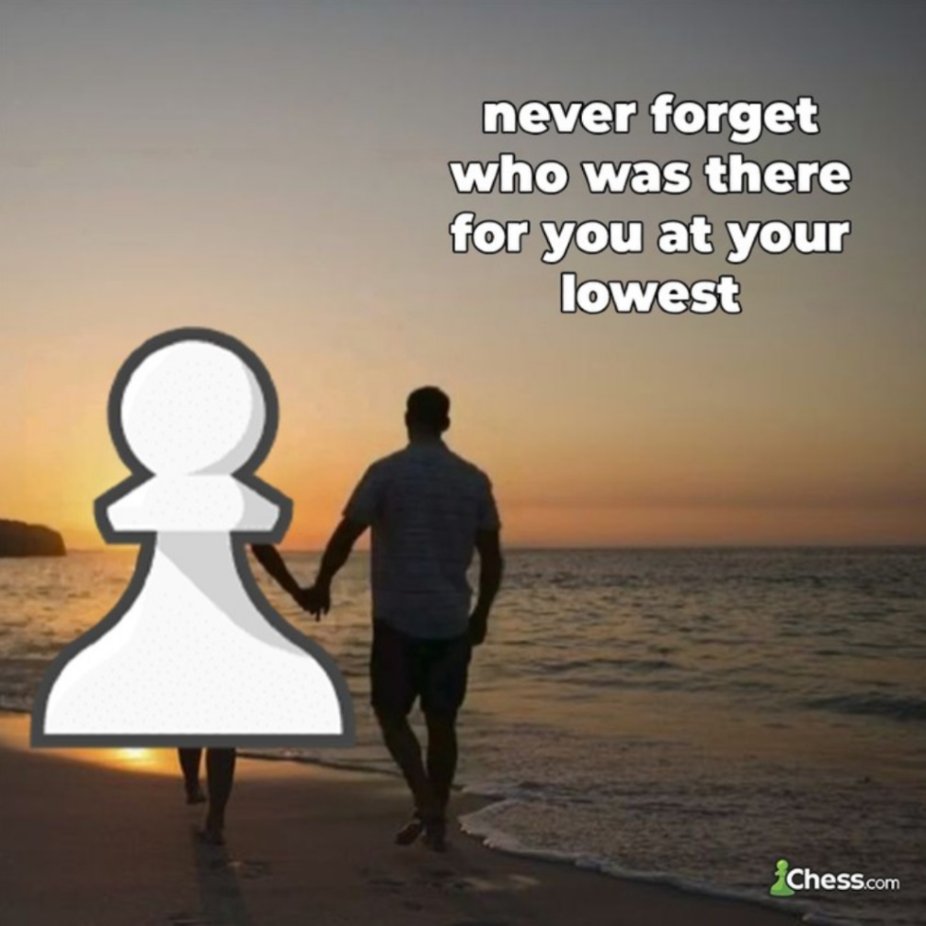 chesscom's tweet image. that's my day 1 best friend right there 🤧