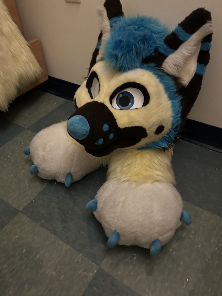 ShepGoesBlep's tweet image. bug