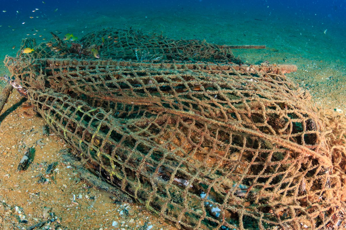 MFRI_Iceland's tweet image. MFRI will host an international workshop addressing marine litter originating from fishing activities, with particular attention to improving onboard waste-management practices in Arctic bottom-trawl fisheries.
More here: hafogvatn.is/en/about/news-…
#marinelitter #fishinggearlitter