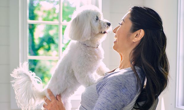 Complète et équilibrée, Hill’s Prescription Diet t/d soutient le système immunitaire des adultes avec des antioxydants éprouvés en clinique. veterinarypracticenews.ca/complete-balan…