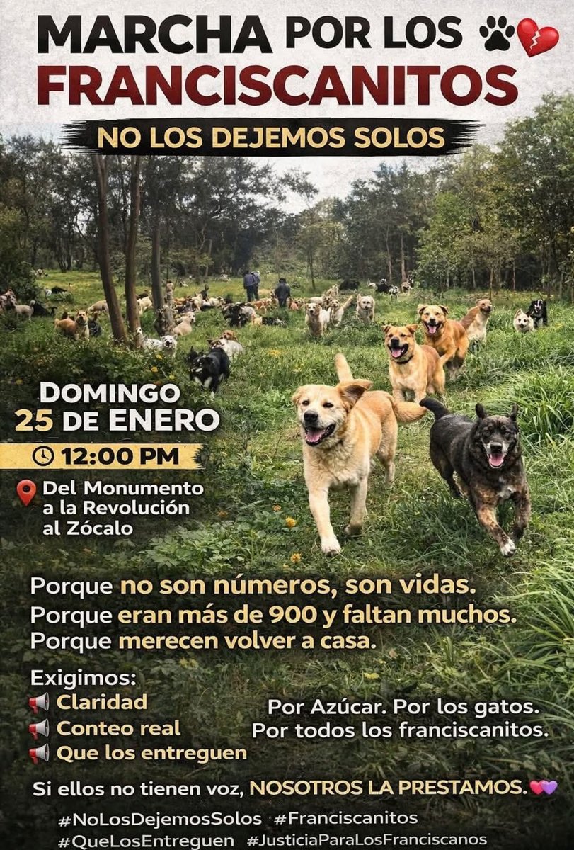 Mayú Guillén 🇲🇽🇺🇦 (@mayumiguillen) on Twitter photo 