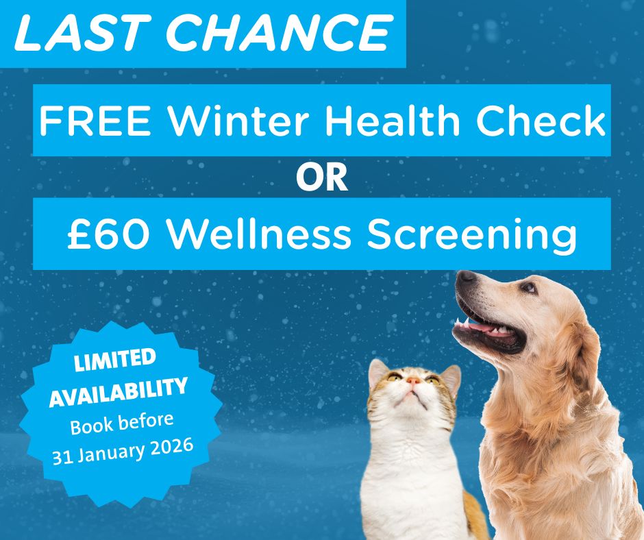 VictoriaVets_'s tweet photo. 🐾 Last chance! Don’t miss our winter offers:
❤️Free health check OR
❤️ £60 Wellness Screening
Our wellness screening is designed for mature cats and dogs, and includes blood and urine tests.
📞 To book call the practice. Limited availability!
#vet #pet #cat #dog https://t.co/4q9WezIvTm