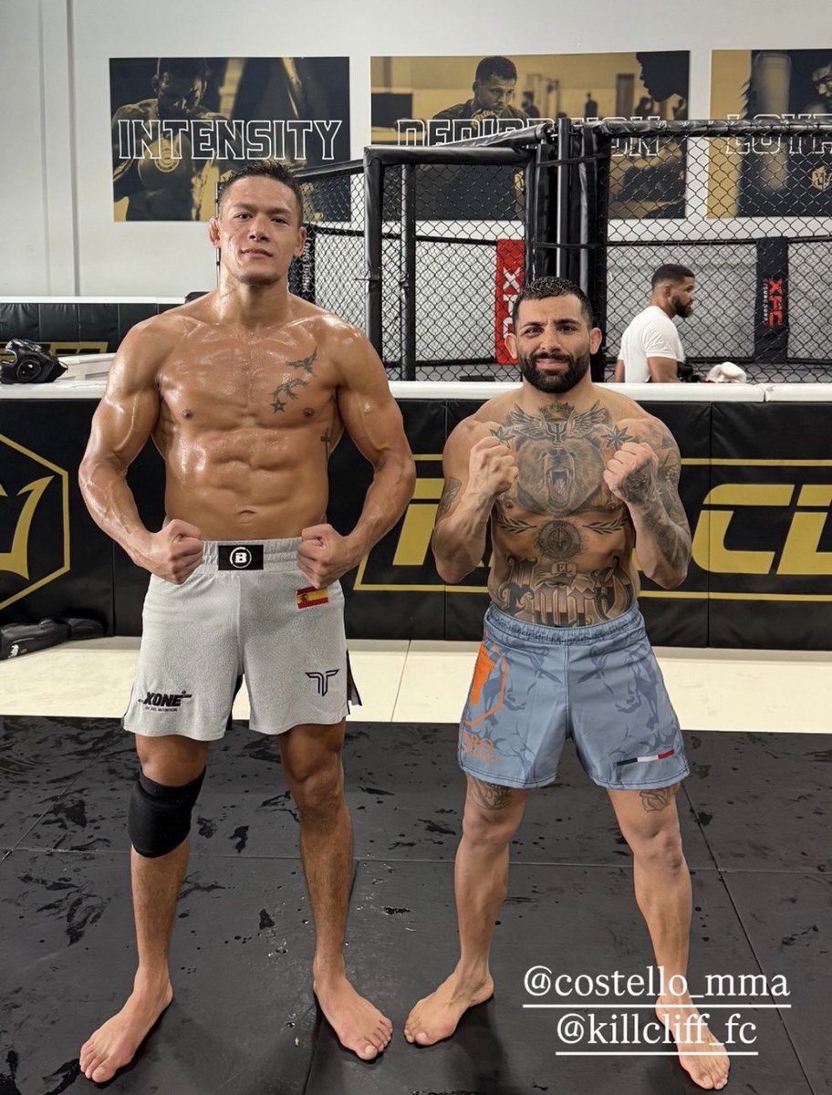 pelunaton's tweet image. Costello van Steenis (17-3) y Ernesto "El Potro" Schisano (5-1) se están preparando en el Kill Cliff en Florida para sus próximas peleas #MMA