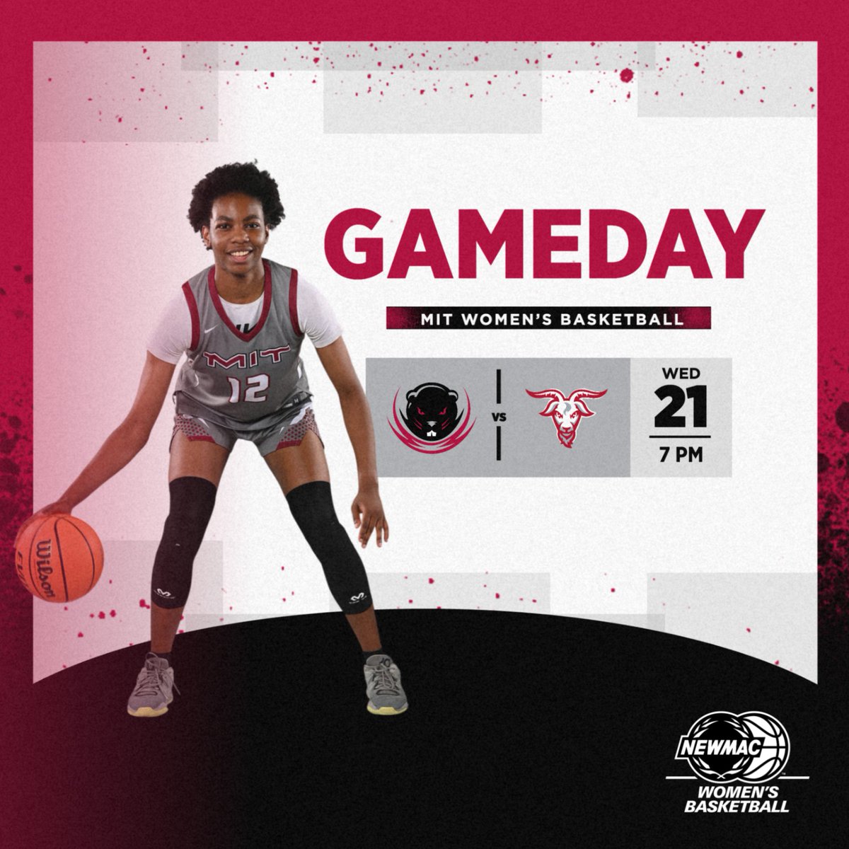 MIT Women's Basketball tweet media