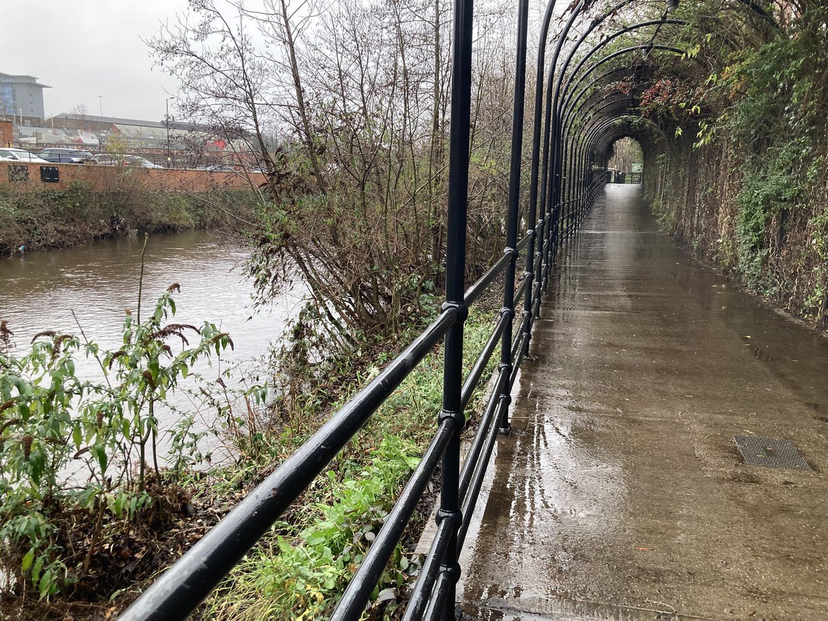 Blue loop tweet media