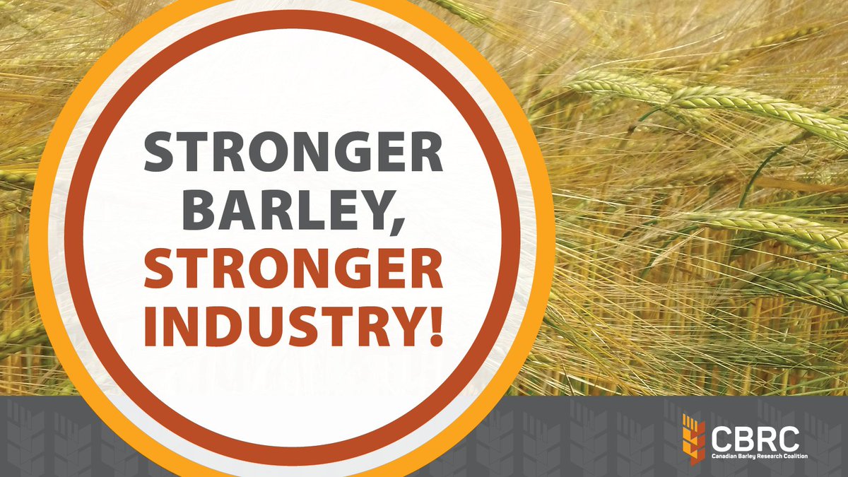 Canadian Barley Research Coalition tweet media