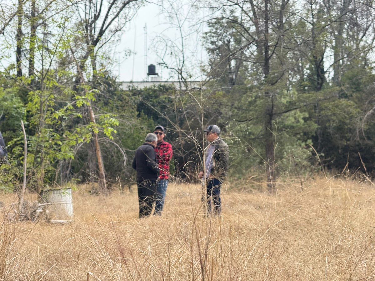 StinkyDingy tweet media