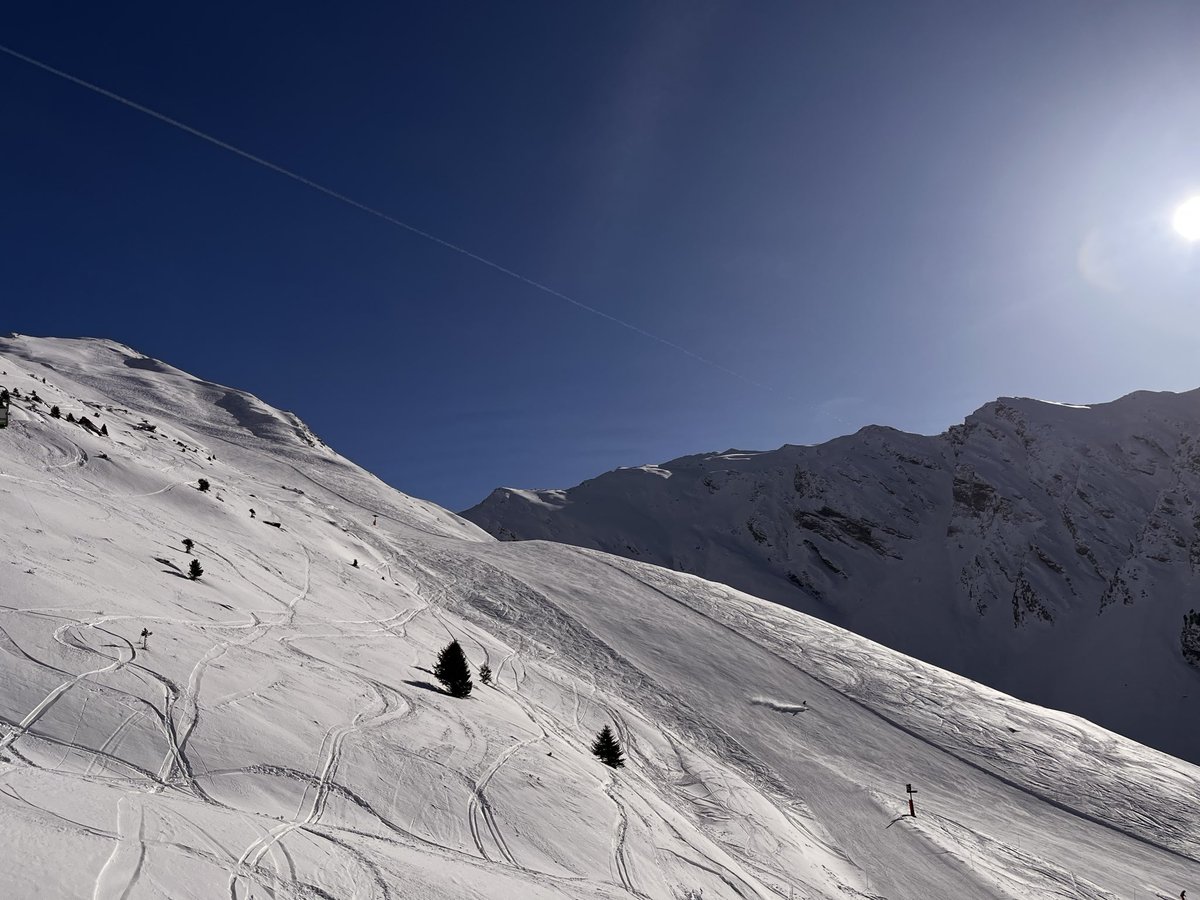 Bob Malin tweet media