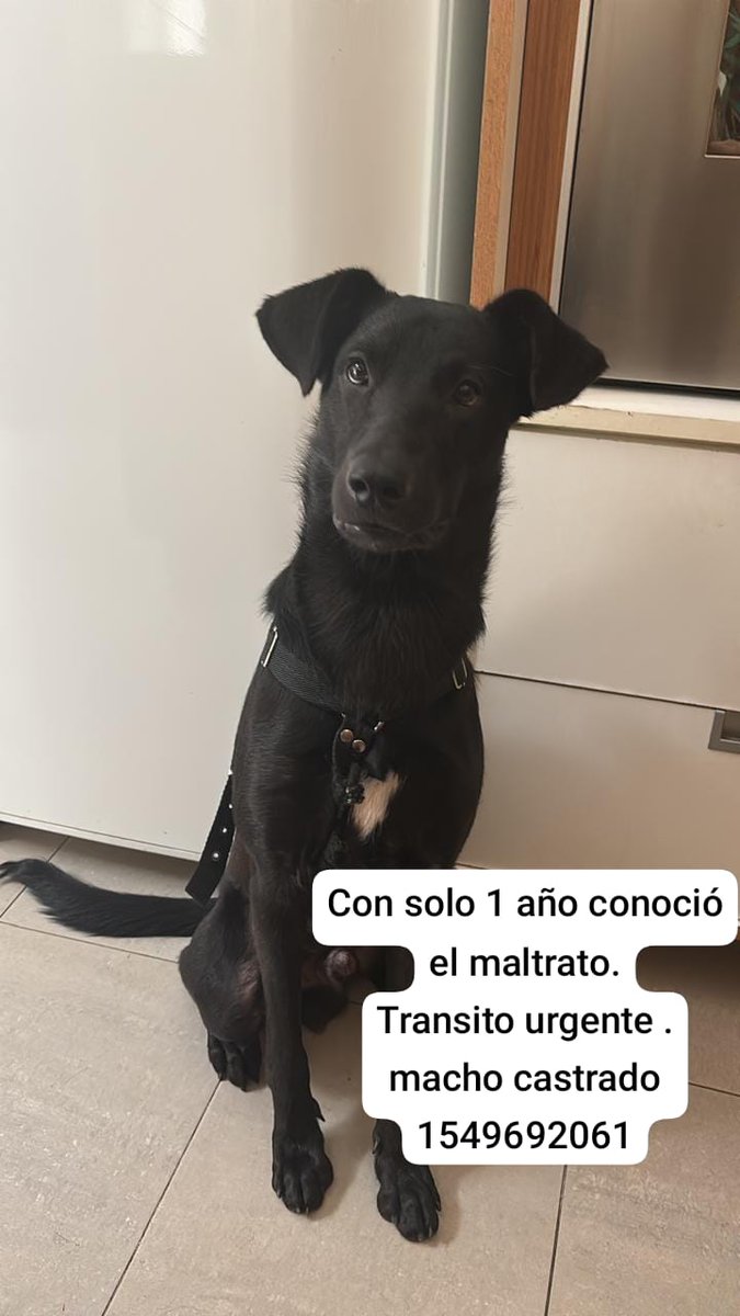 patripeyrou's tweet image. Difundimos