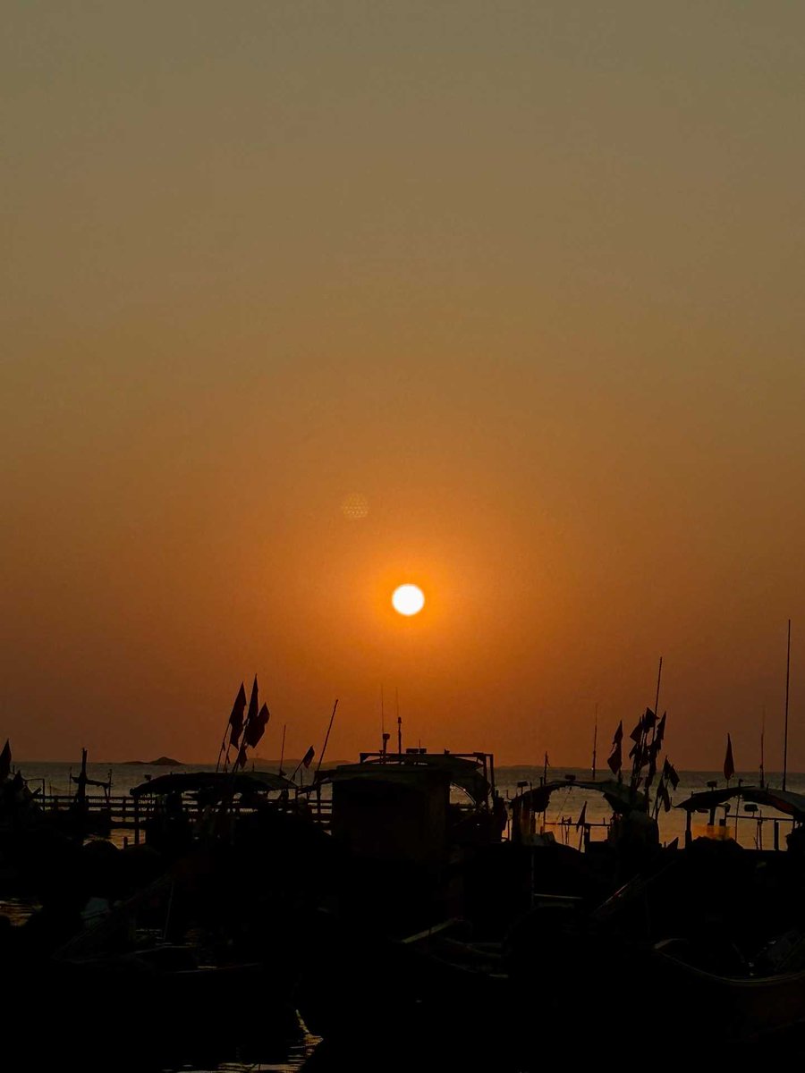 各位老师们，有打土狗的群吗？跪拜求进群🥹
来一张落日照看看   冬天的海边风真大