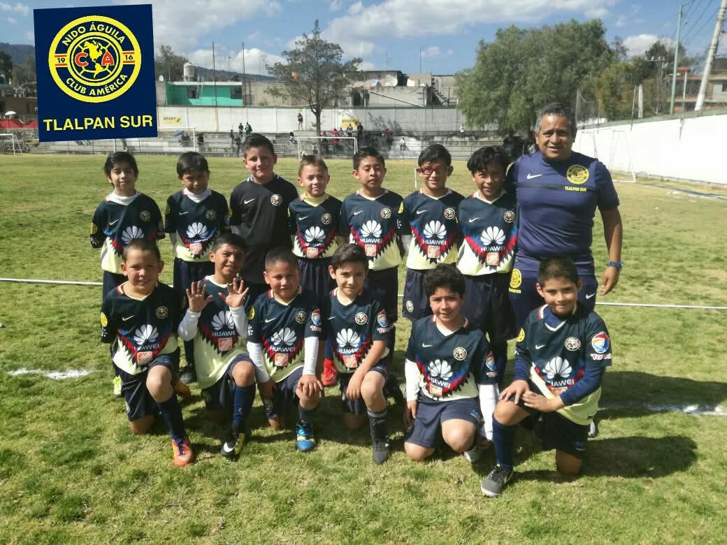 Recordar es vivir <a href="/ClubAmerica/">Club América</a> 
Nido Águila Tlalpan Sur 
<a href="/TlalpanVecinos/">Tlalpan Vecinos</a> 
Flor silvestre 65 San Pedro Mártir Tlalpan