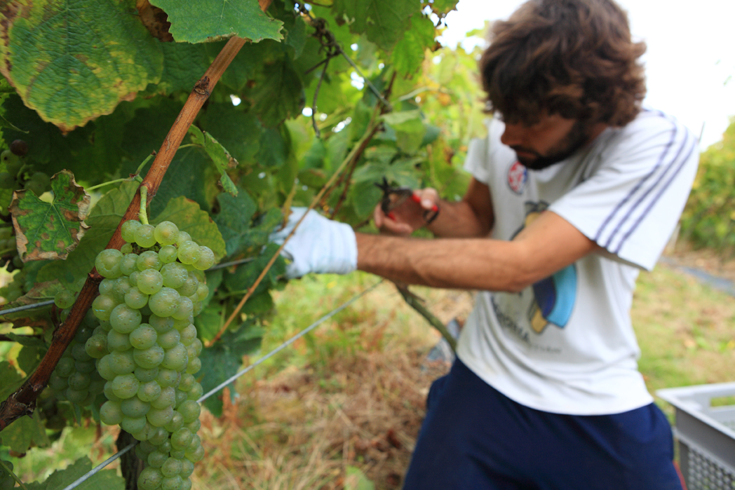 Bodega Berroja tweet media