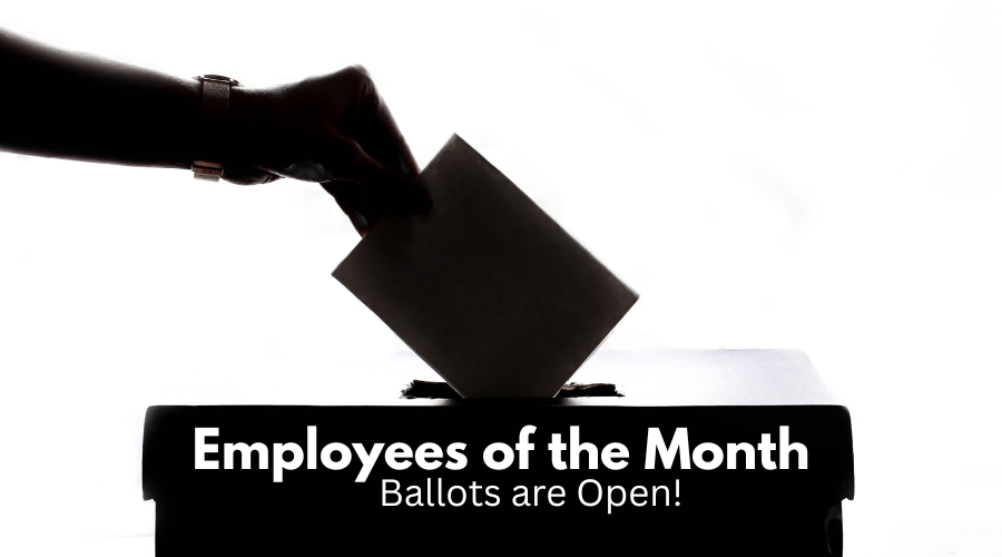 MTSDVT's tweet photo. 🌟 Employee of the Month Nominations are Open! 🌟

This month we’re celebrating our Special Educators. 

🗓 Open: 9/15 – 9/22
📝 Submit here: https://t.co/qrN18ykRXK https://t.co/9DV7erCWOr
