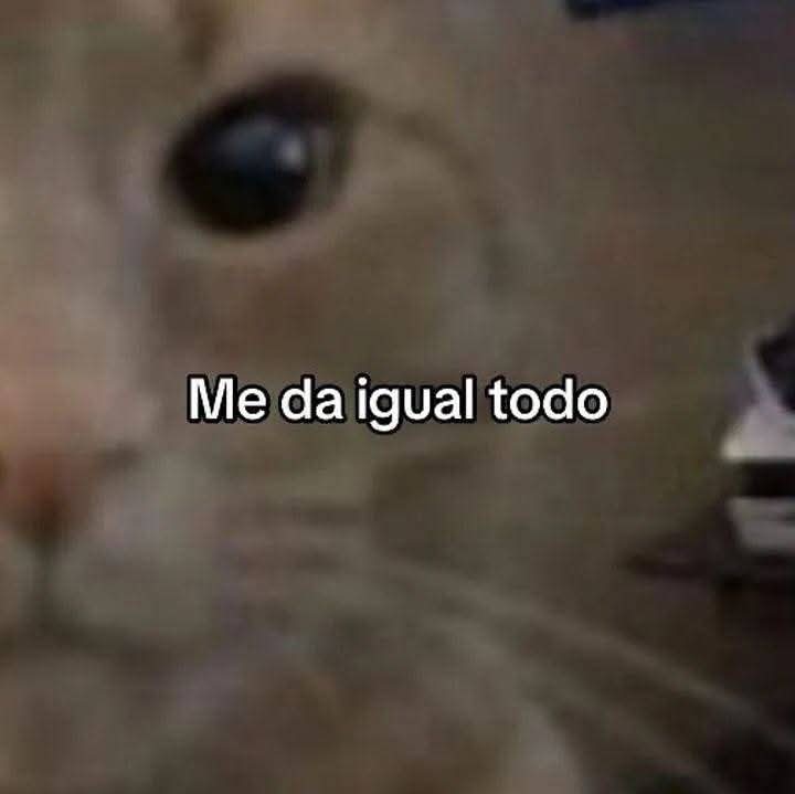 En Júpiter (@en_jupiter_) on Twitter photo 