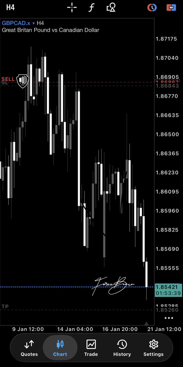 4RexBrain📈 tweet media