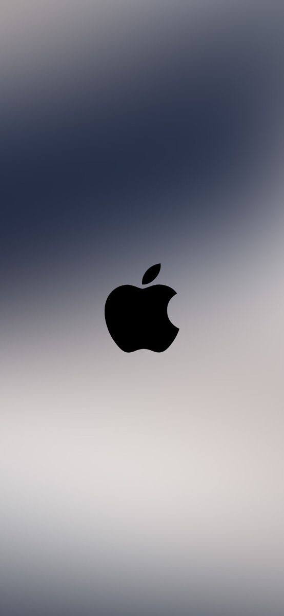 GuruWallpaper1's tweet photo. #oboi #wallpaper #photo #rasm #apple https://t.co/HhWGYzqVql