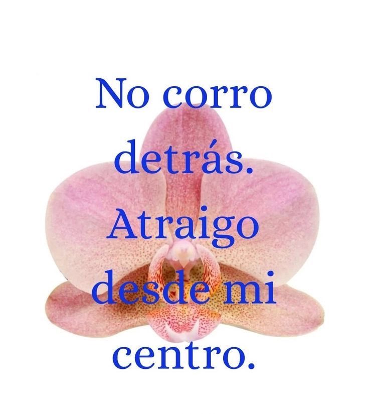 eriswitchtarot's tweet image. 🧘🏻‍♀️