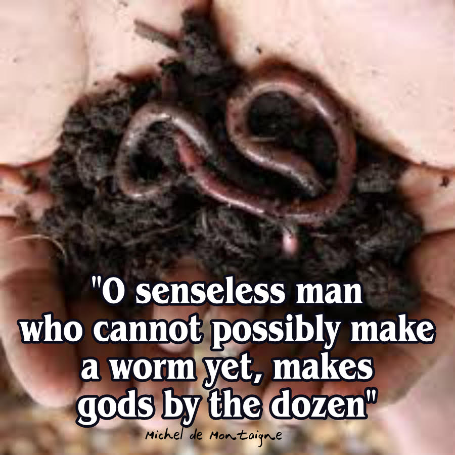 Hasudi1 (@hasudi1119705) on Twitter photo 