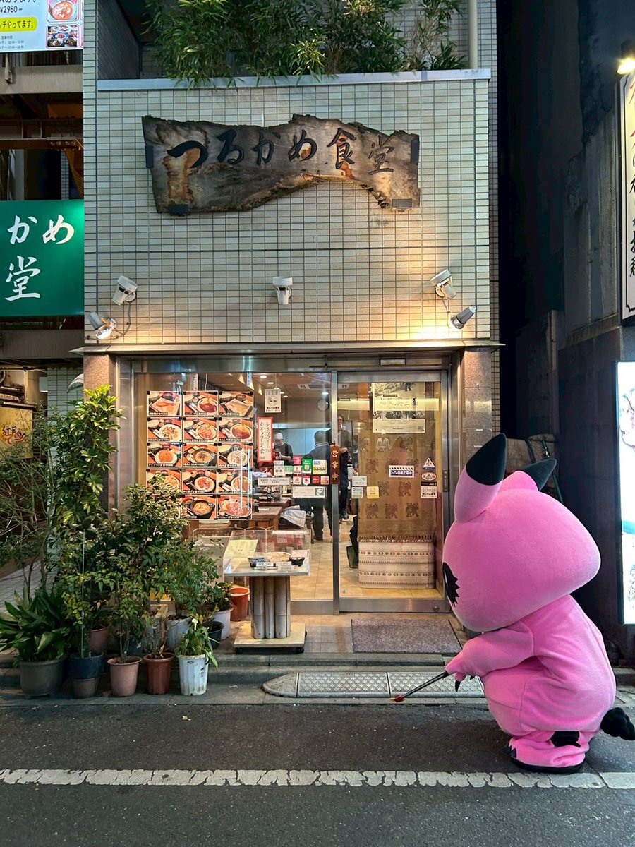 けんちゃんがお世話になってる定食屋つるかめ食堂前もお掃除⭐︎
#歌舞伎町
#つるかめ食堂
