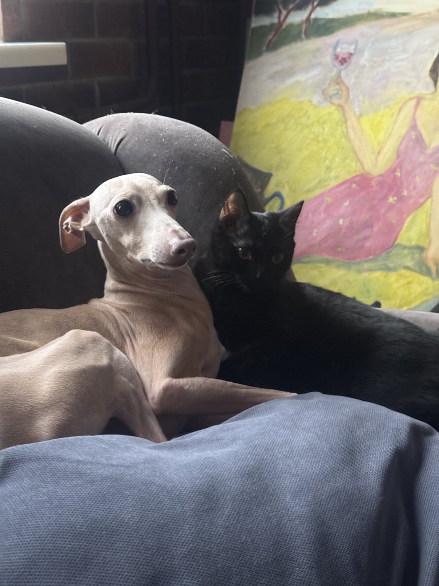 «Абъюзивные отношения» фото в цвете, 2026 год