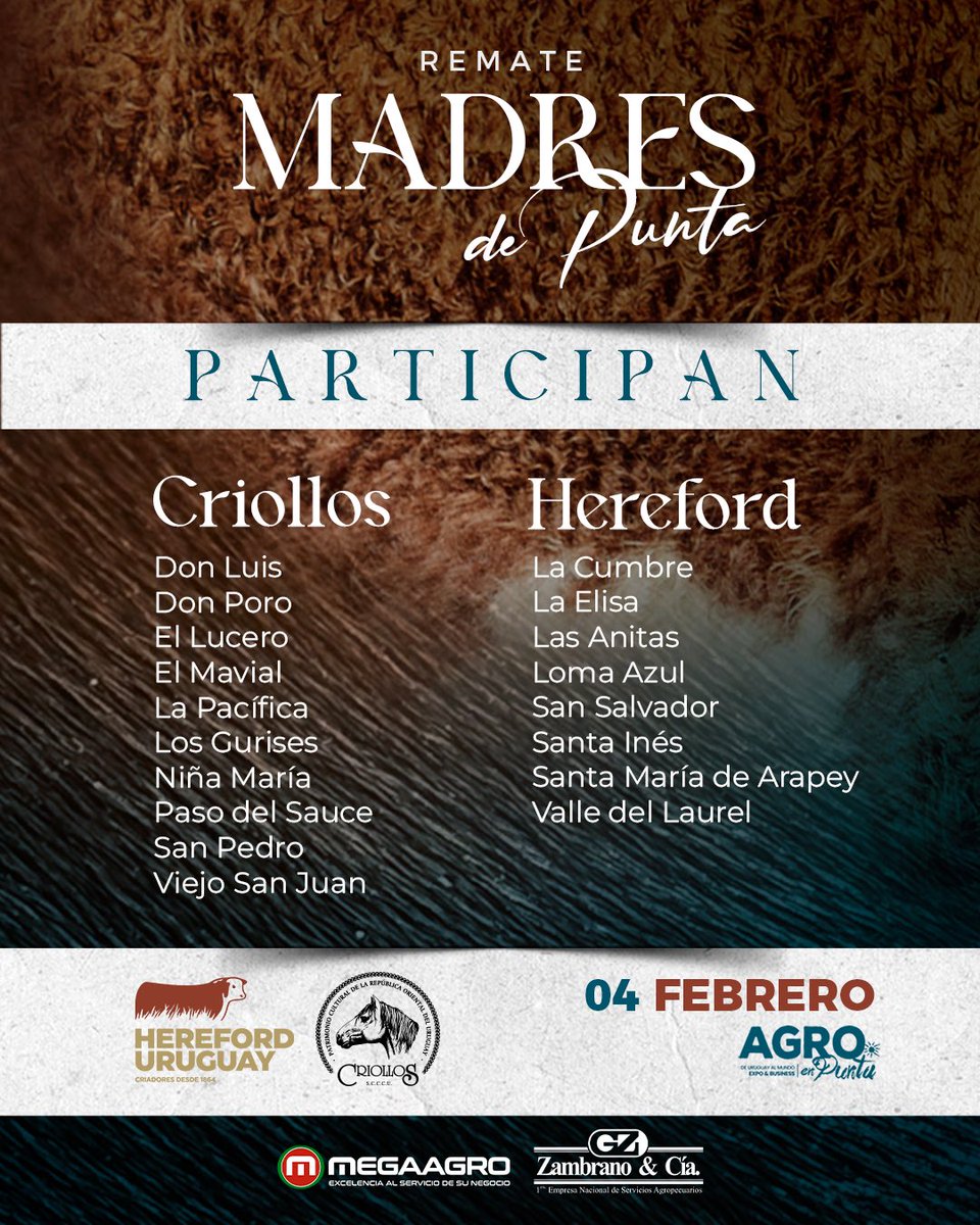 MegaagroUy's tweet photo. Madres de Punta. 
Un remate. Dos razas. 
@hereforduy @criollos_uy https://t.co/169rz6UBtB