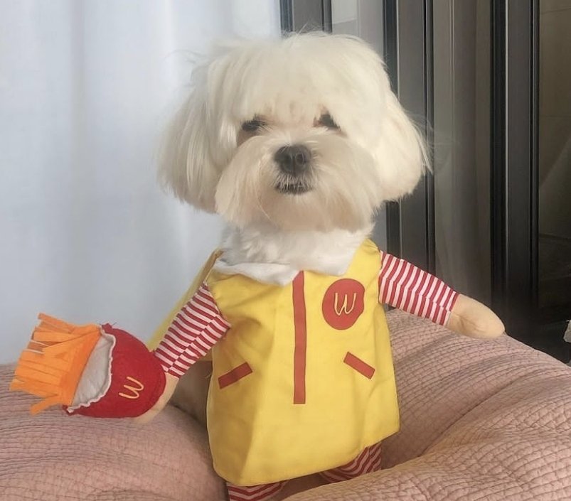 ㅋㅋㅋㅋㅋㅋ두두 잘생겼네
하지만 두두는 찌그러져있을때가 가장 매력적인걸... 
비주얼 폭룡 아니 폭력적