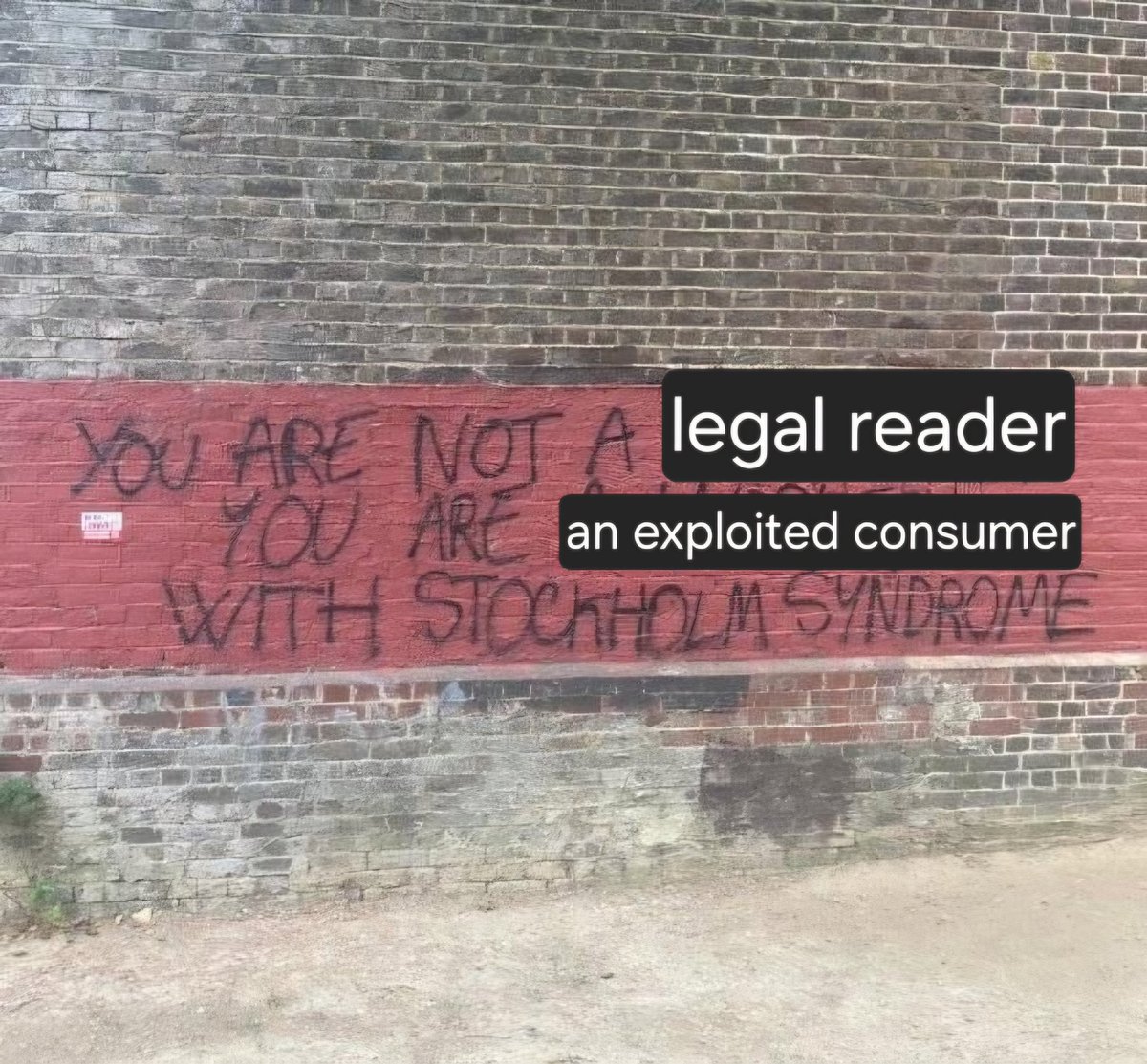 Furry Irwandi 🐿🦉🎨🔮🧟‍♀️☔🦚🍂🔨📜 (@budibukanintel) on Twitter photo 