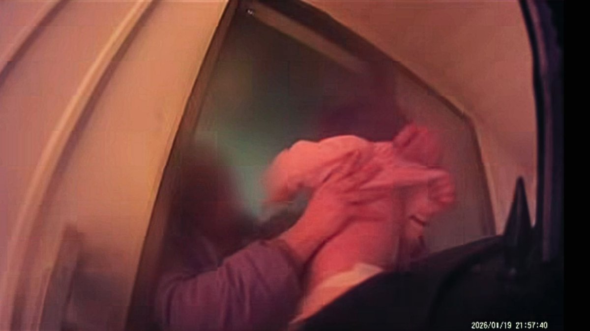 Bill Carey tweet media