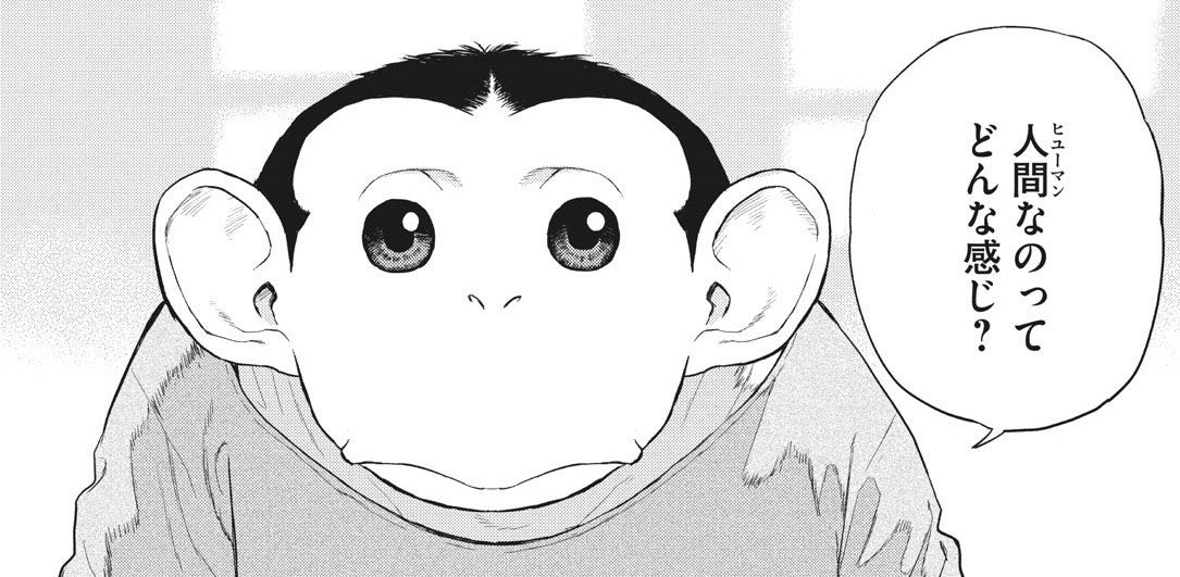 ちゃちゃまる (@chachamaru1425) / Posts / X