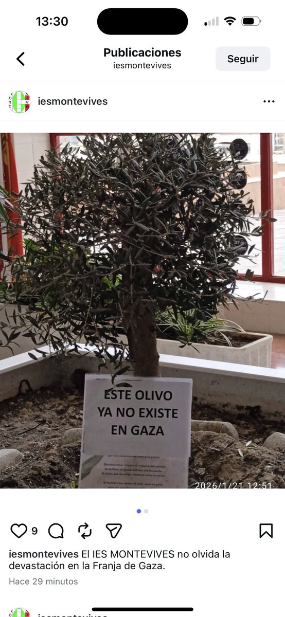 <a href="/vitoquiles/">Vito Quiles 🇪🇸</a> + en Gaza “ya no hay olivos”.
No es falta de información, es falta de empatía y de sentido común. Primero, respeto por los nuestros.