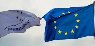 W Parlamencie Europejskim udało się jednak uzyskać większość dla wniosku do TSUE o opinię w sprawie zgodności umowy UE - Mercosur z traktatami europejskimi. Głosowanie bardzo, bardzo wyrównane: 
334 eurodeputowanych za wnioskiem, 
324 -przeciwko, 
a 10 się wstrzymało.

Co to