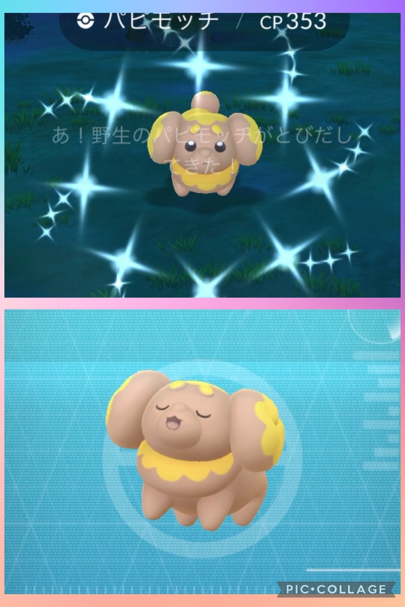 kumapoo3319's tweet photo. Cute✨️✨️🌈💗✨🌈💗✨🌈💗✨🌈💗✨🌈💗✨🌈💗✨🌈💗✨🌈 #PokemonGO https://t.co/3aMyYHItcs